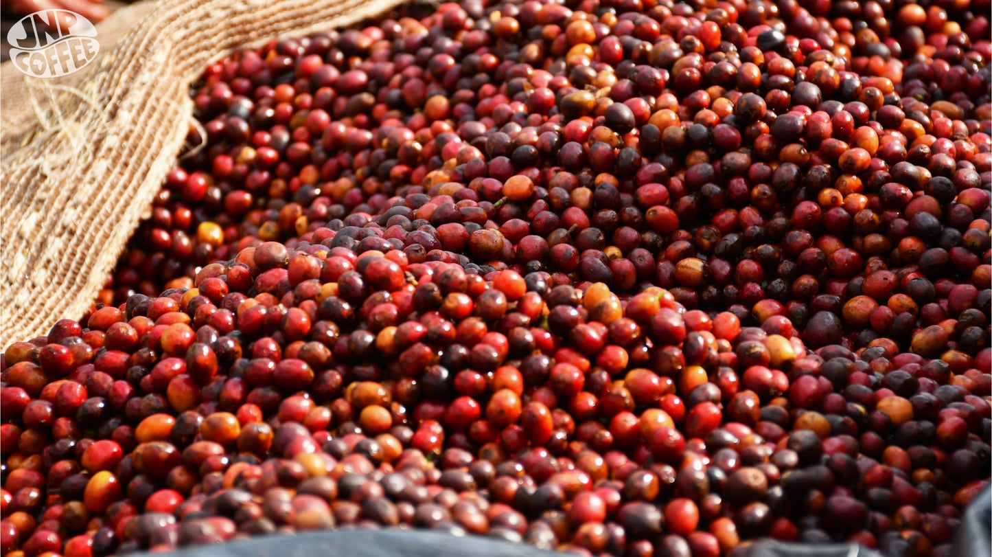 Burundi - Hafi 15 Nano-lot