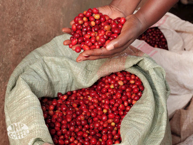 Burundi - Ntwari II Natural
