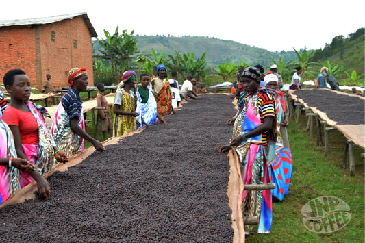 Burundi - Ntwari II Natural