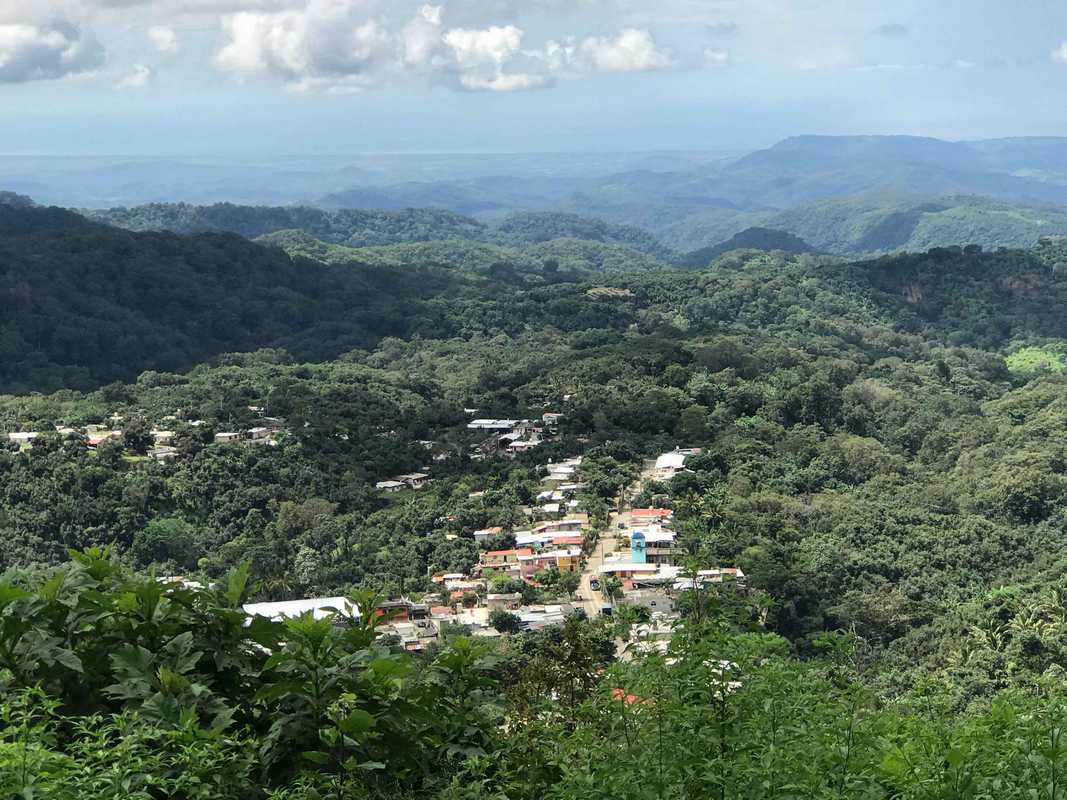 Mexico - Xalisco + Tepic - Dark Roast