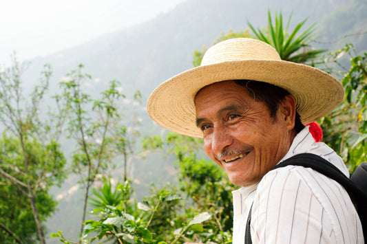 Guatemala - Los Dos Socios