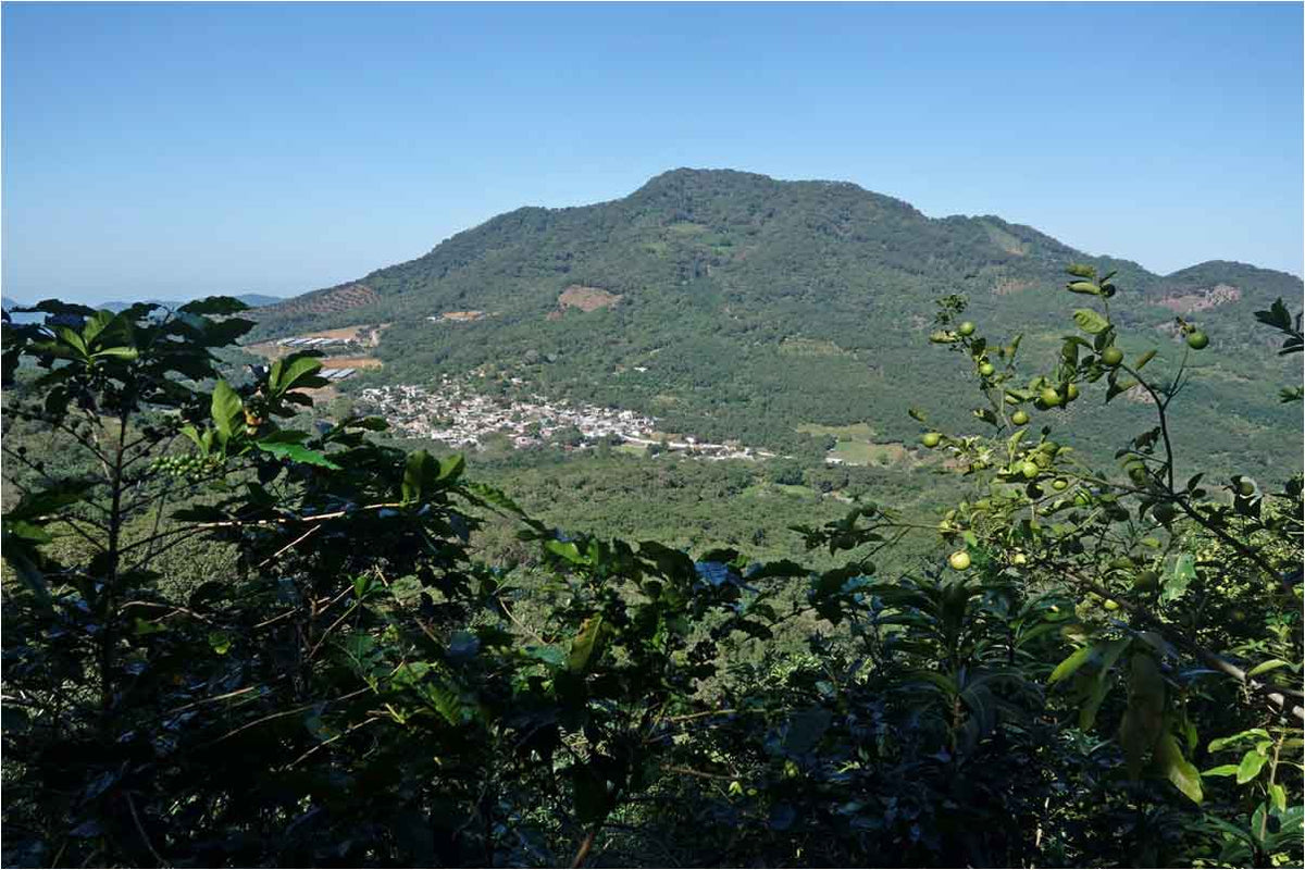 Mexico - Xalisco + Tepic - Dark Roast